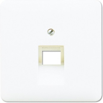 Крышка для одинарных телефонных и компьютерных розеток (UAE) JUNG CD569-1UAWW