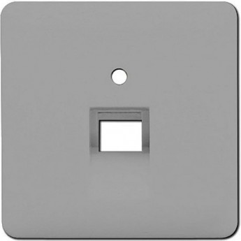 Крышка для ординарной телефонной и компьютерной розетки UAE JUNG CD569-1UAGR серая