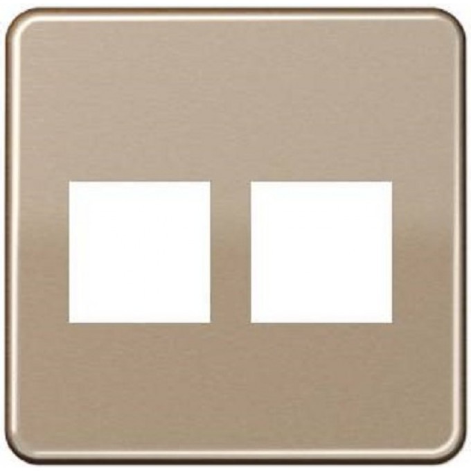 Крышка для сдвоенной телефонной и компьютерной розетки UAE JUNG CD569-2UAGB