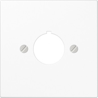 Накладка JUNG LS 990 для установки специальных изделий с несущим каркасом (белый)