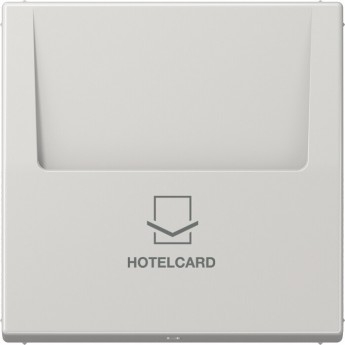 Накладка JUNG LS 990 на карточный выключатель Hotelcard (светло-серый)