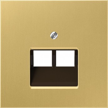 Накладка JUNG LS METAL для телефонной/компьютерной розетки 2хRJ45 (латунь)