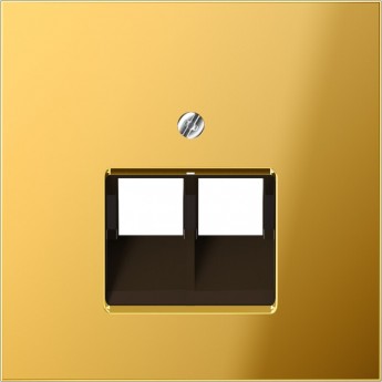 Накладка JUNG LS METAL для телефонной/компьютерной розетки 2хRJ45 (золотой)