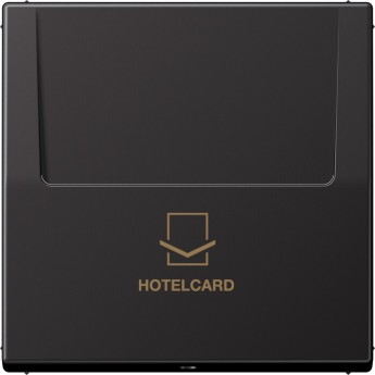 Накладка JUNG LS METAL на карточный выключатель Hotelcard (темный алюминий)