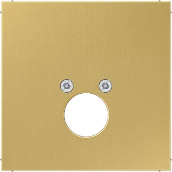 Накладка на аудиорозетку JUNG LS METAL для 1-го (2-х) разъемов High End (латунь)