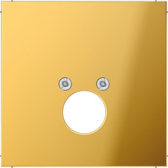 Накладка на аудиорозетку JUNG LS METAL (золотой)