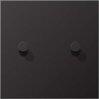 Накладка тумблера JUNG LS1912 1 пост, 2 тумблера, конус