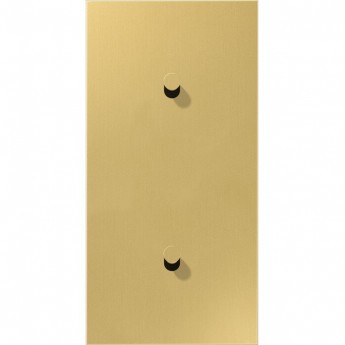 Накладка тумблера JUNG LS1912 2 поста, для вертикальной установки, тумблеры 1+1, конус (латунь)