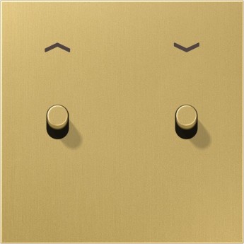 Накладка тумблера JUNG LS1912 с символом «стрелки», 1 пост, 2 тумблера, цилиндр (латунь)