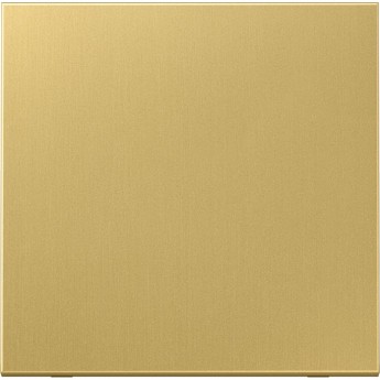 Одинарная клавиша JUNG ME2990C для балансирных механизмов выключателей (кнопок)