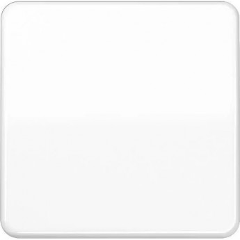 Одинарная клавиша JUNG SL590WW для балансирных механизмов выключателей (кнопок) Одинарная клавиша JUNG SL590WW для балансирных механизмов выключателей (кнопок)