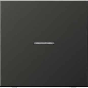 Одинарная клавиша JUNG с окошком для балансирных механизмов выключателей (кнопок) AL2990KO5AN