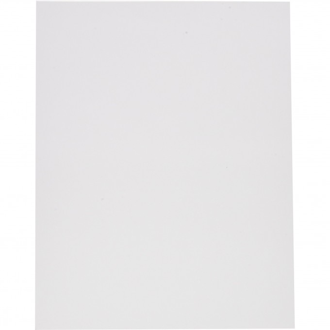 Стандартная центральная плата JUNG из термопласта (матовый белый) A1700BFWWM