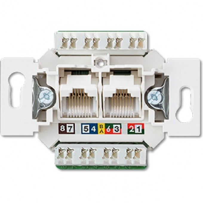 UAE розетка JUNG 2 порта UAE8-8UPOK6US